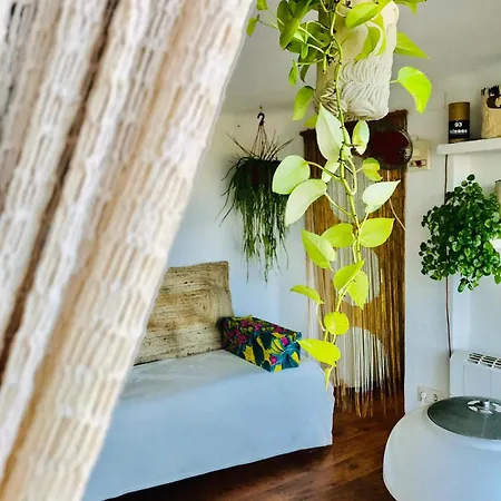 Апартаменты Balcony With Sea View *